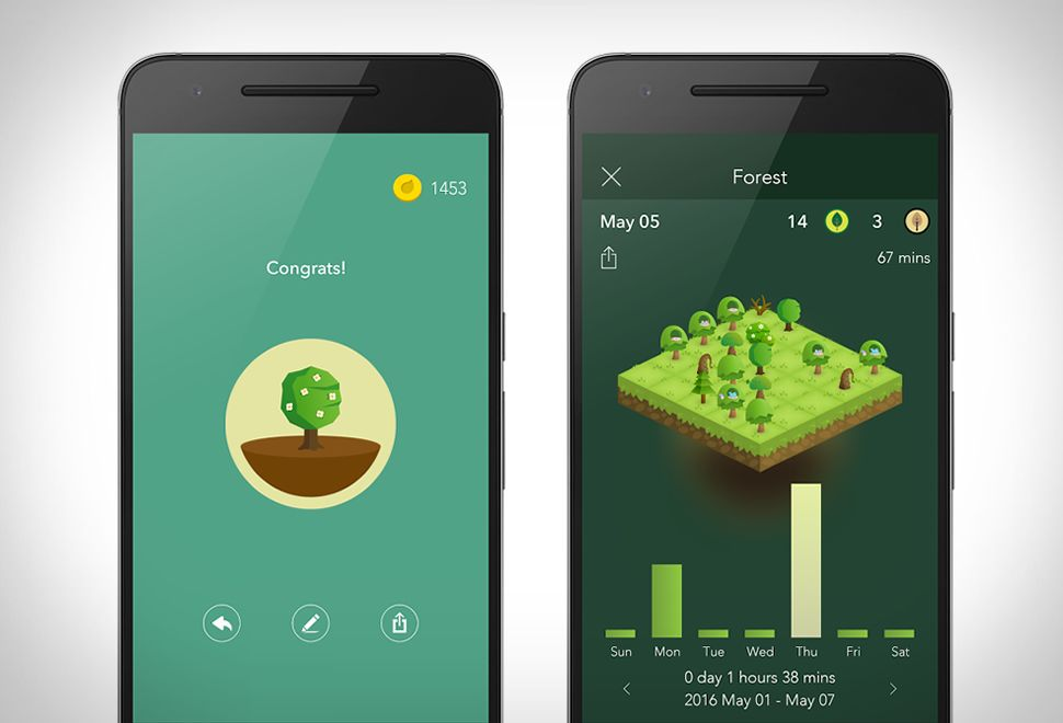 How to open an IT company in Ukraine: the Forest productivity app