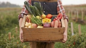 Заходи, не бойся: 10 условий, которые помогут новичку влиться в работу